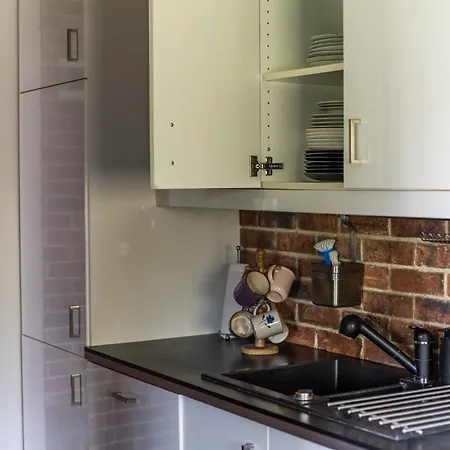 公寓 Large Luxury *