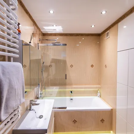 Large Luxury Apartment Groß Salze